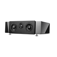 Starke Sound C2 Center Channel Speaker