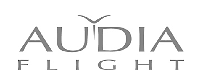 Audia Flight DAC Board