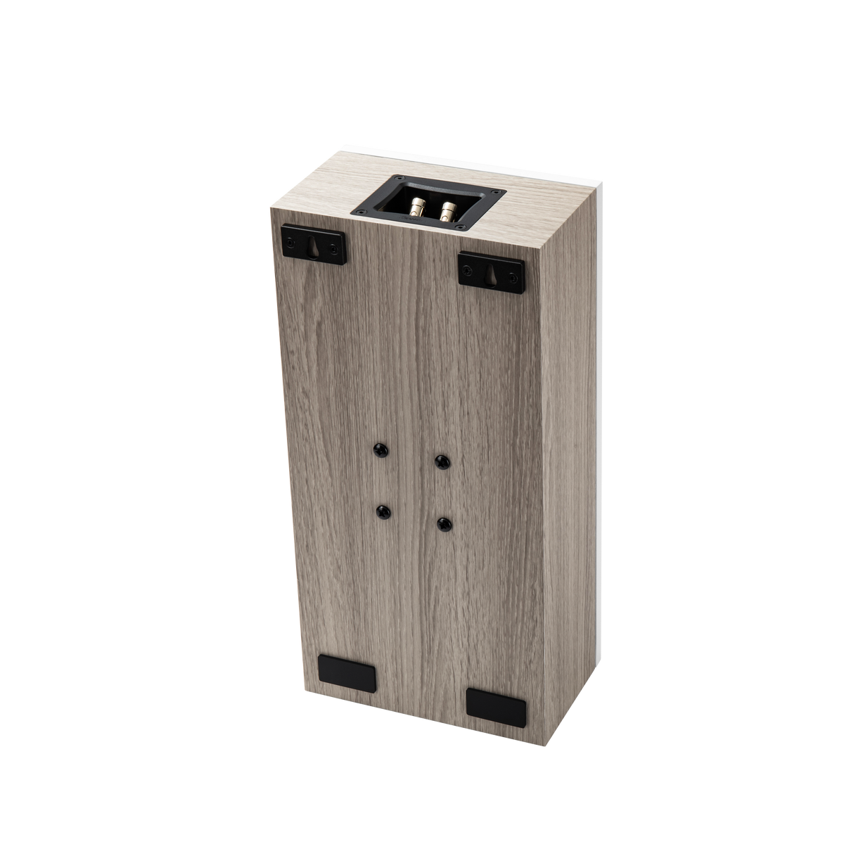 Beta5W