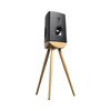 Lyngdorf Cue-100 Speaker
