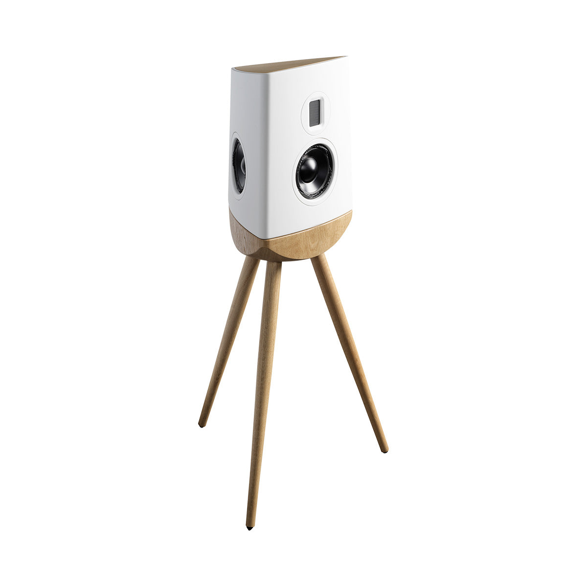 Lyngdorf Cue-100 Speaker