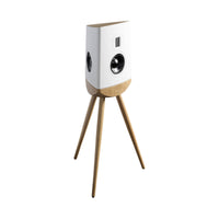 Lyngdorf Cue-100 Speaker