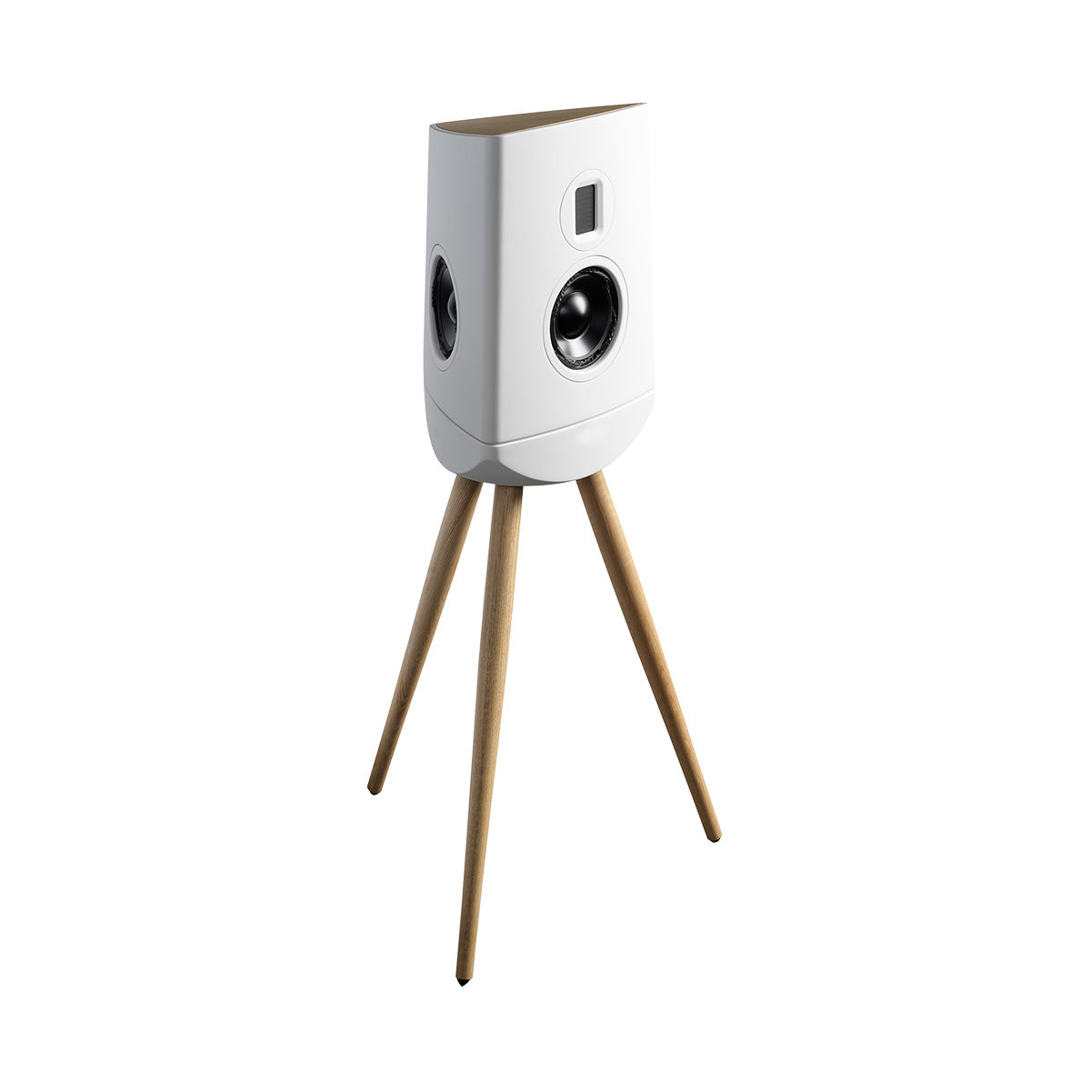 Lyngdorf Cue-100 Speaker
