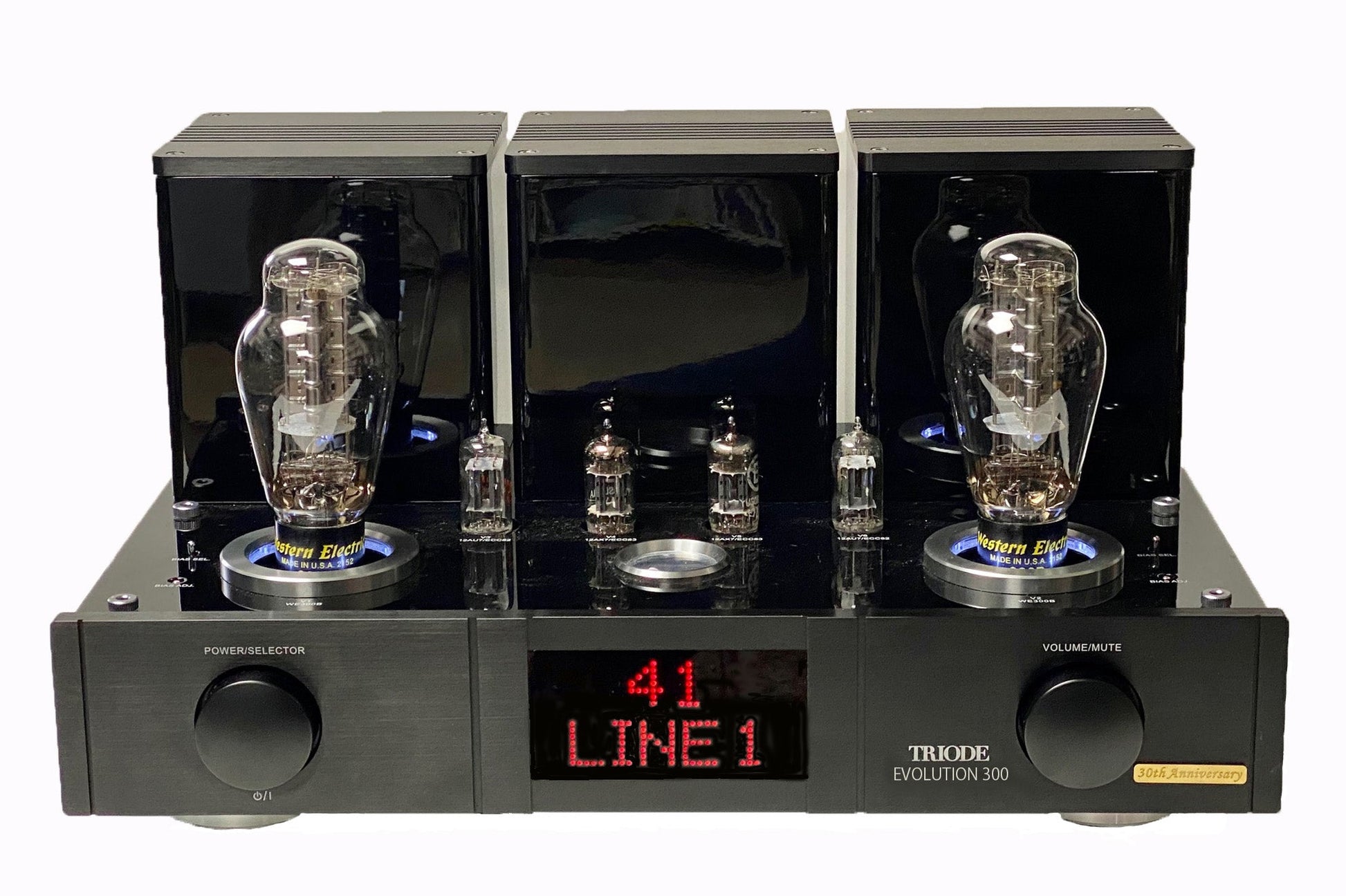 Triode Evolution 300 Speaker