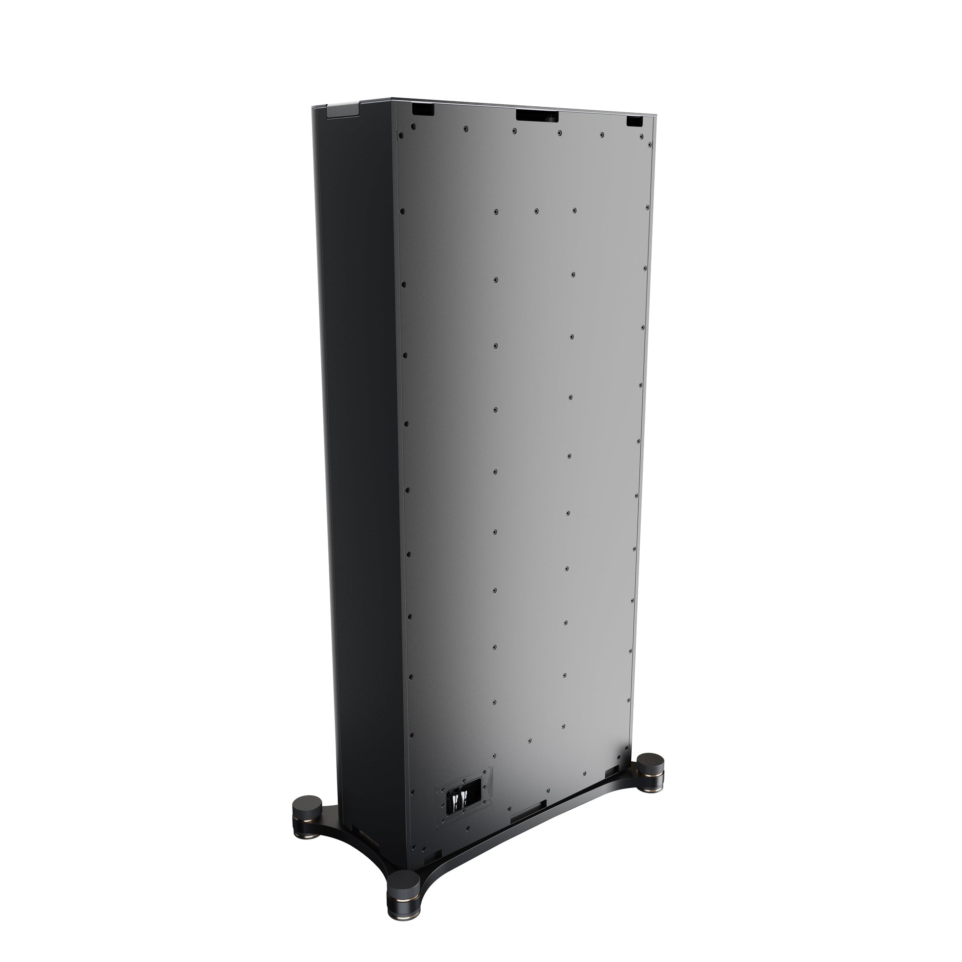 Perlisten Audio D8is Subwoofer with Amplifier - Detail View 12