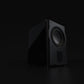 Perlisten Audio R210s Subwoofer - Detail View 3