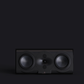 Perlisten Audio R5c Center Channel Speaker