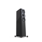 Perlisten Audio R5t Tower - Detail View 6