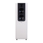 Lyngdorf FR-2 Speaker