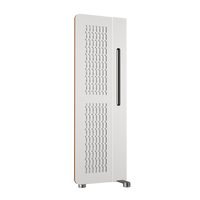 Diptyque Audio DP 160 MKII