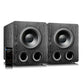 SVS Dual PB-2000 Pro Subwoofer