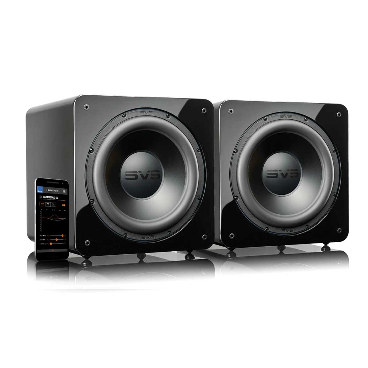 SVS Dual SB-2000 Pro Subwoofer