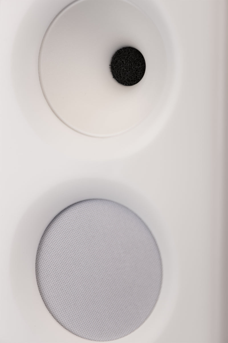 Procella Audio P5V On-Wall Home Theater Speaker in White Finish