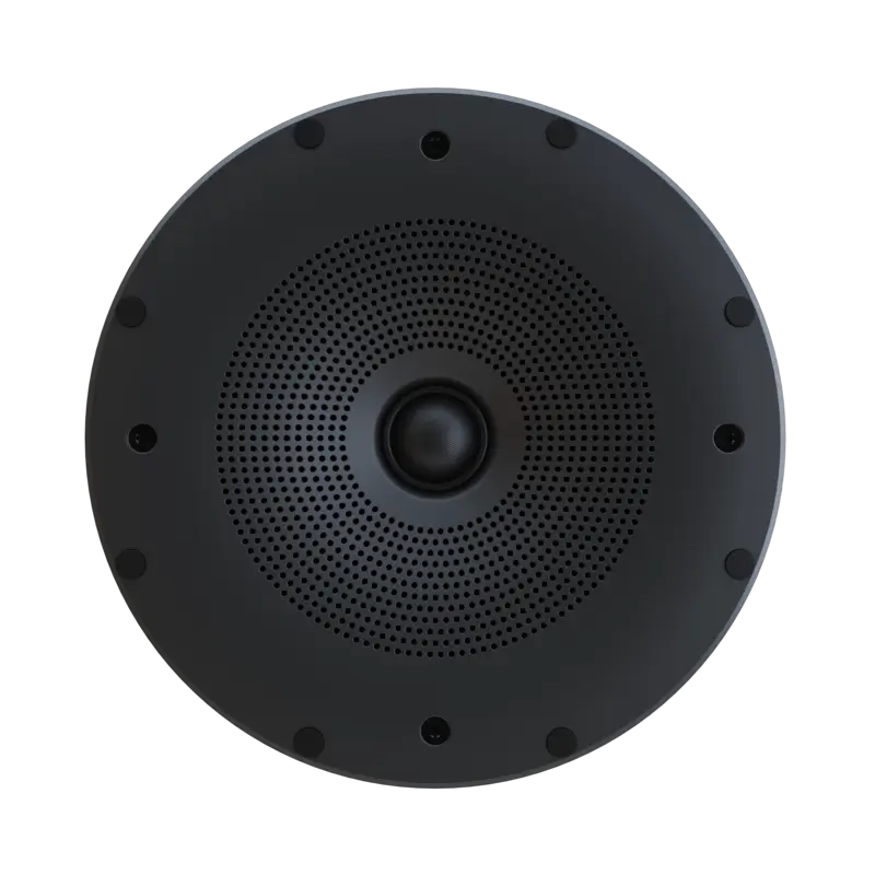 Perlisten Audio X2ic