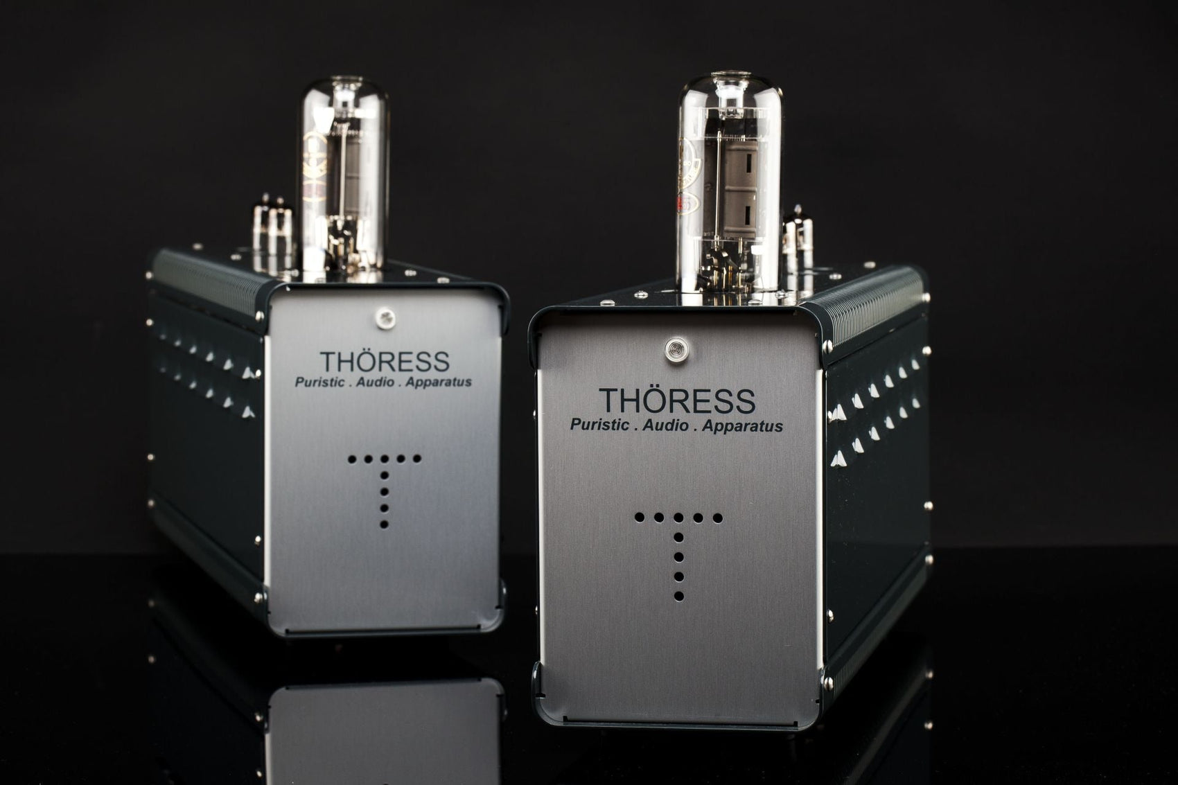 TH√ñRESS SE 845 Mono Power Amplifier - Pair