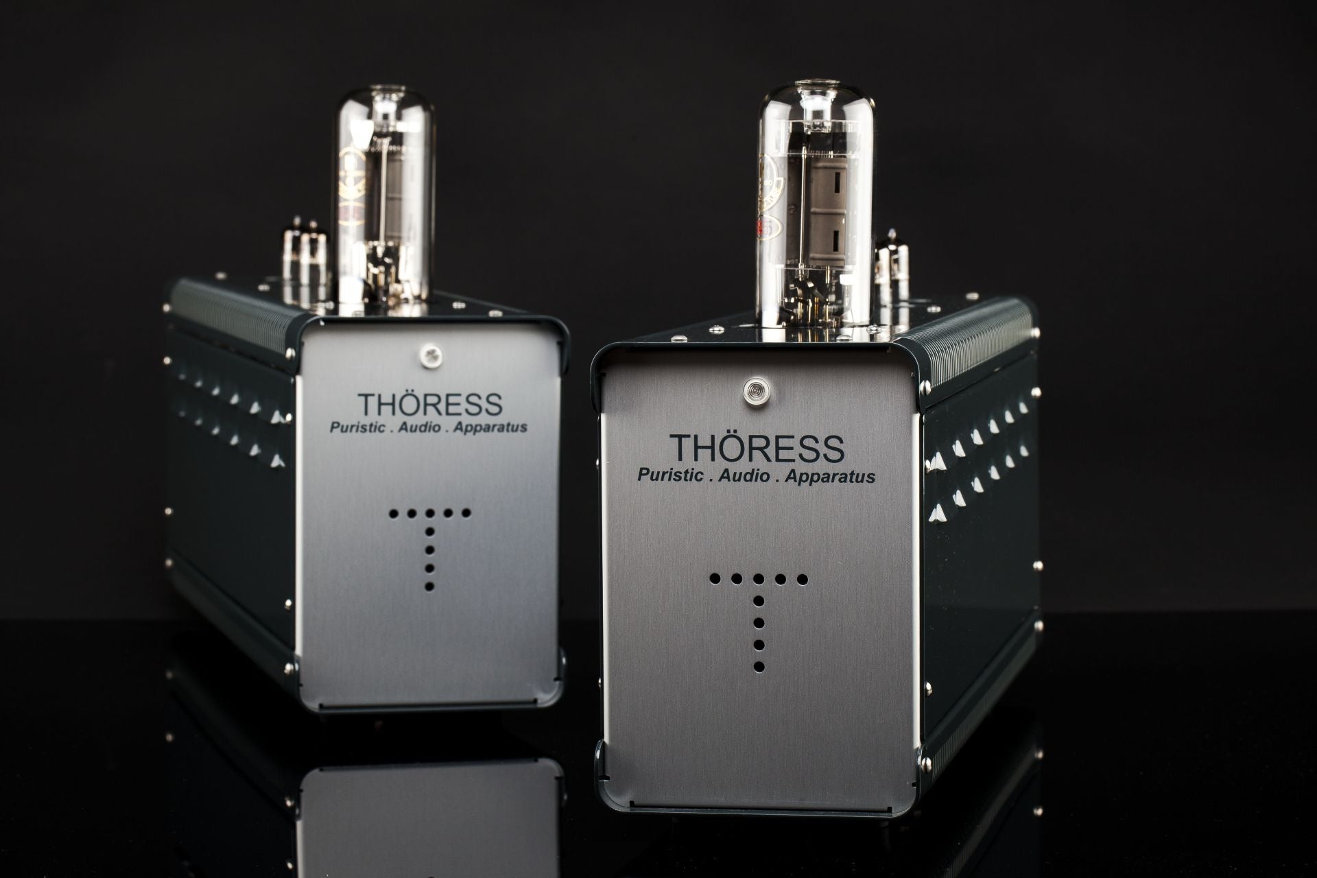TH√ñRESS SE 845 Mono Power Amplifier - Pair